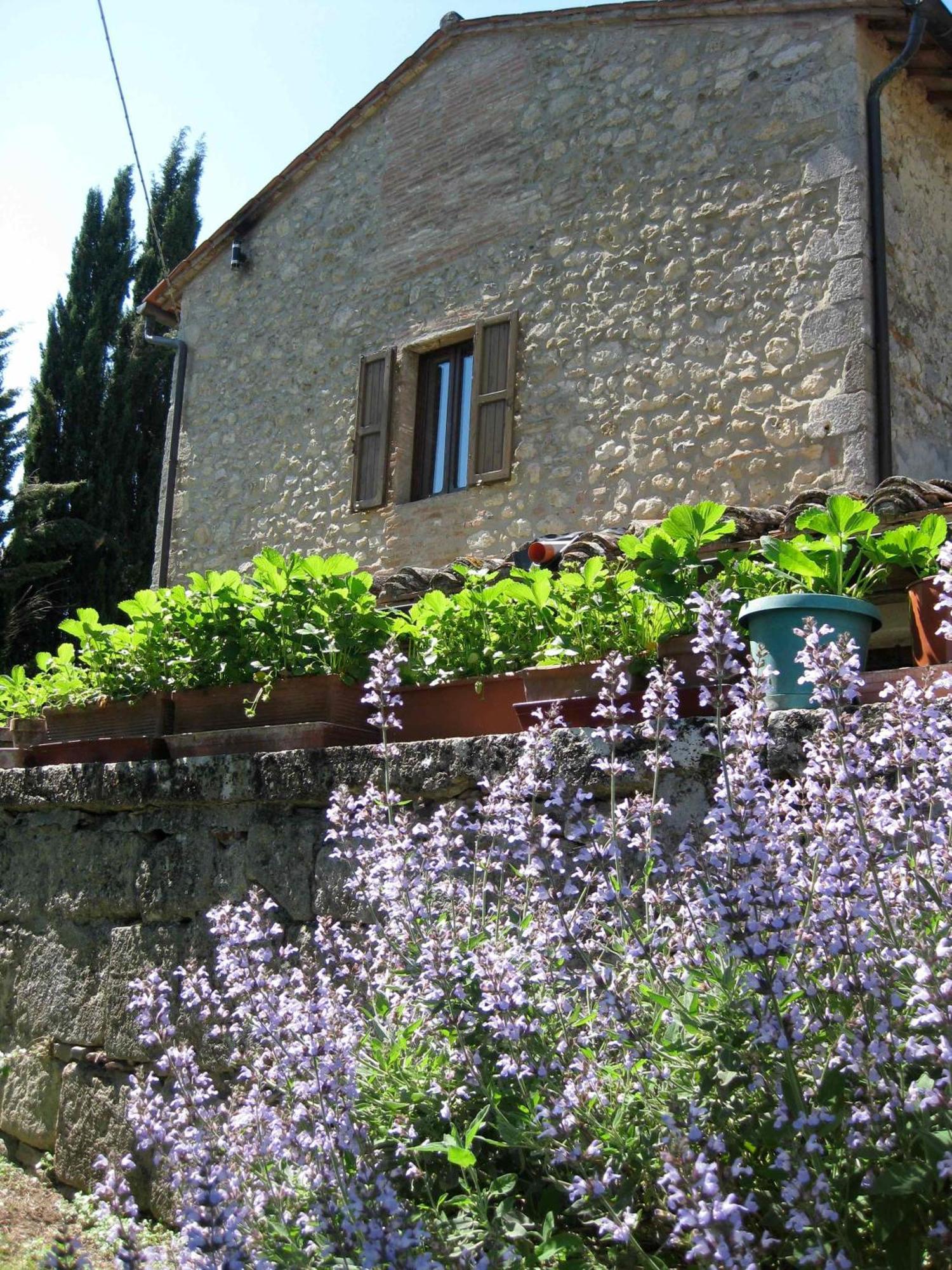 Agriturismo Il Caio Cetona Dış mekan fotoğraf