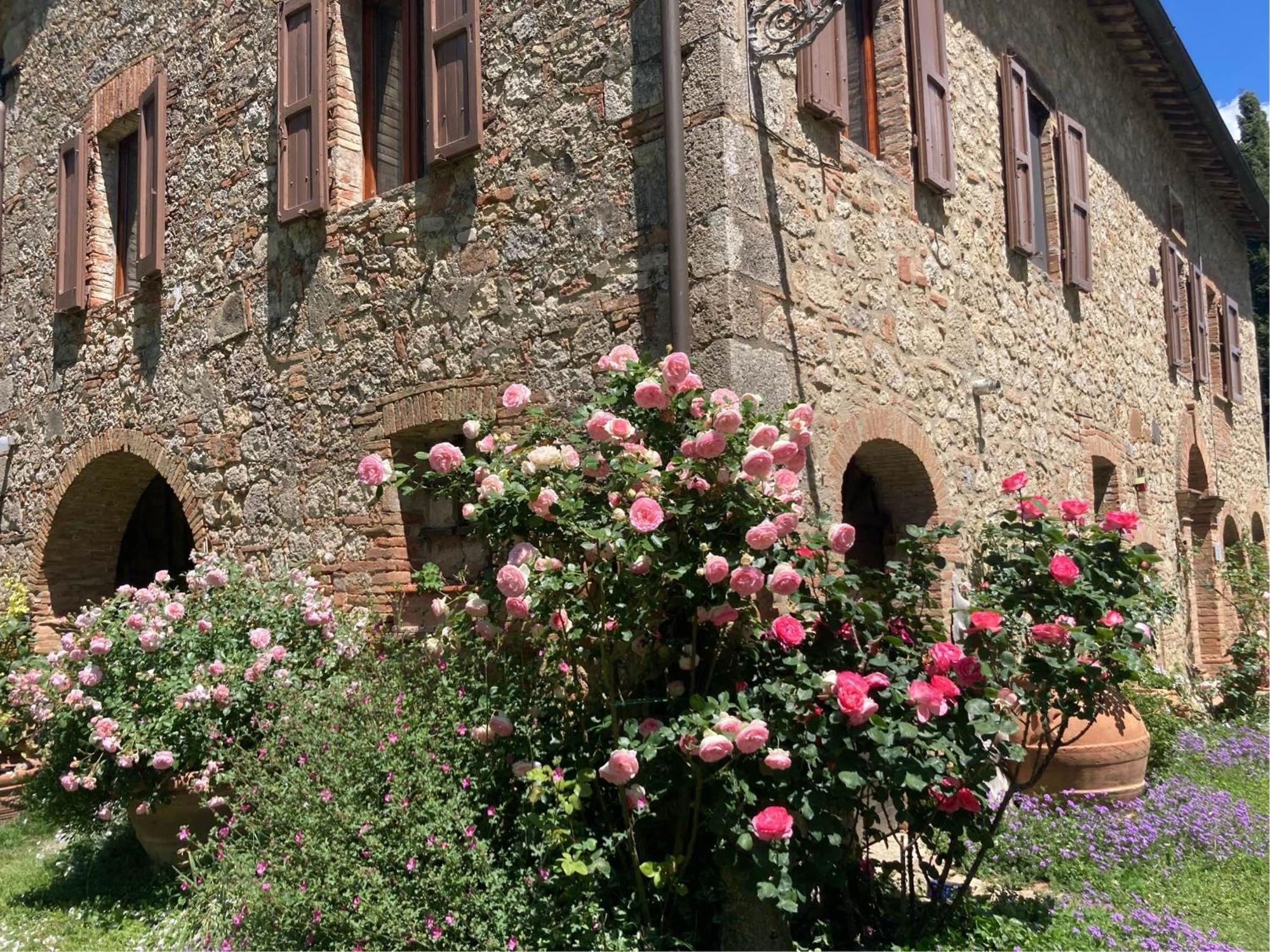 Agriturismo Il Caio Cetona Dış mekan fotoğraf