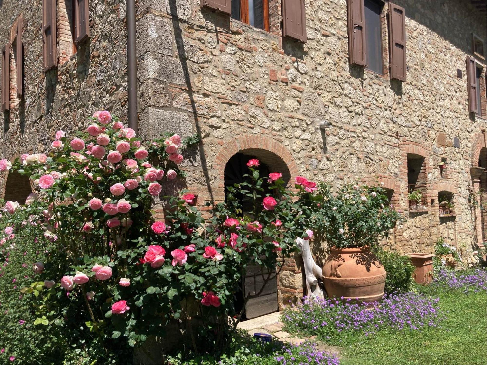 Agriturismo Il Caio Cetona Dış mekan fotoğraf