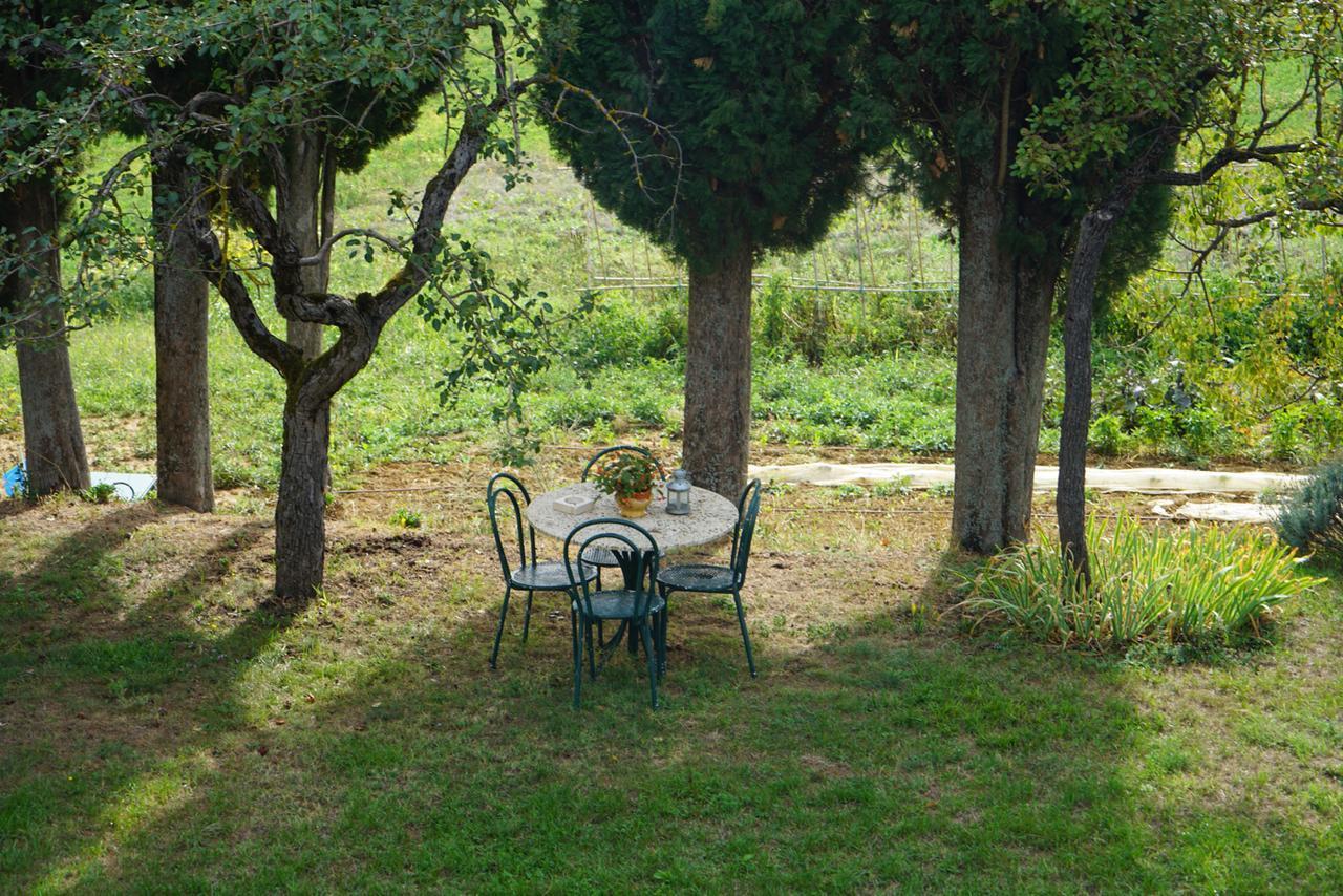 Agriturismo Il Caio Cetona Dış mekan fotoğraf